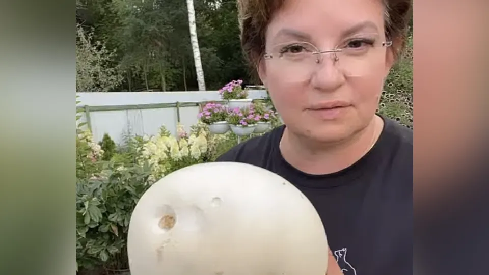 Фото: Любовь Аристархова