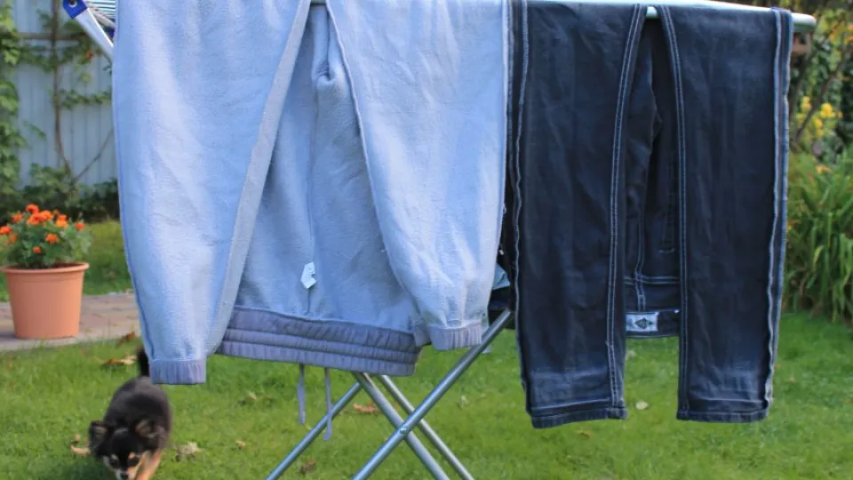 Фото: REGIONS/Илья Попов