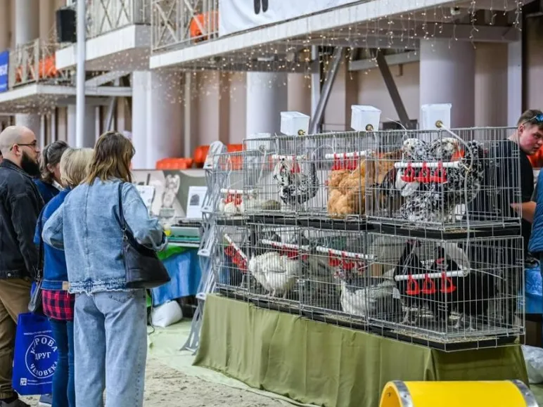 Фото: пресс-служба администрации Наро-Фоминского г.о.&nbsp; &nbsp;&nbsp;