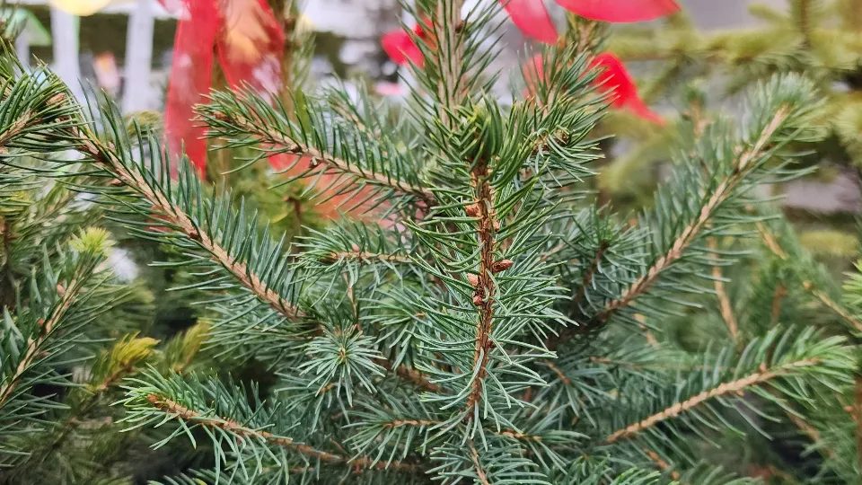 Фото: МедиаБанк Подмосковья/Максим Сафронов