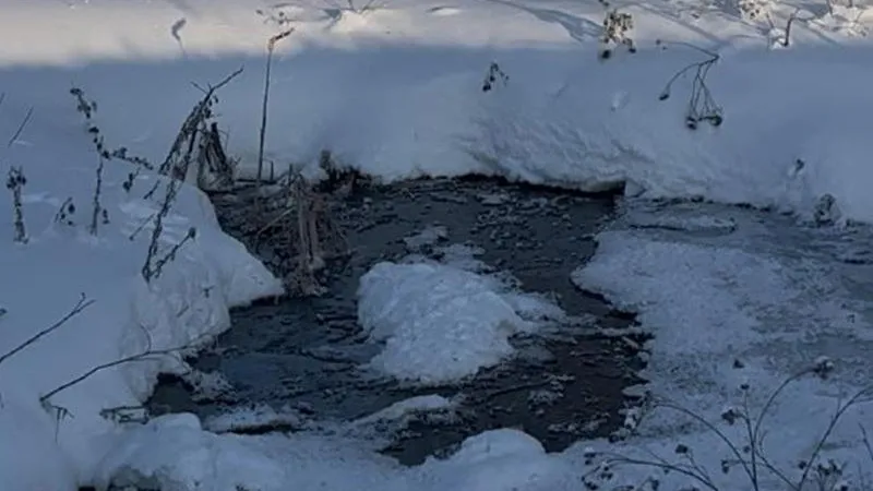Министерство экологии и природопользования Московской области