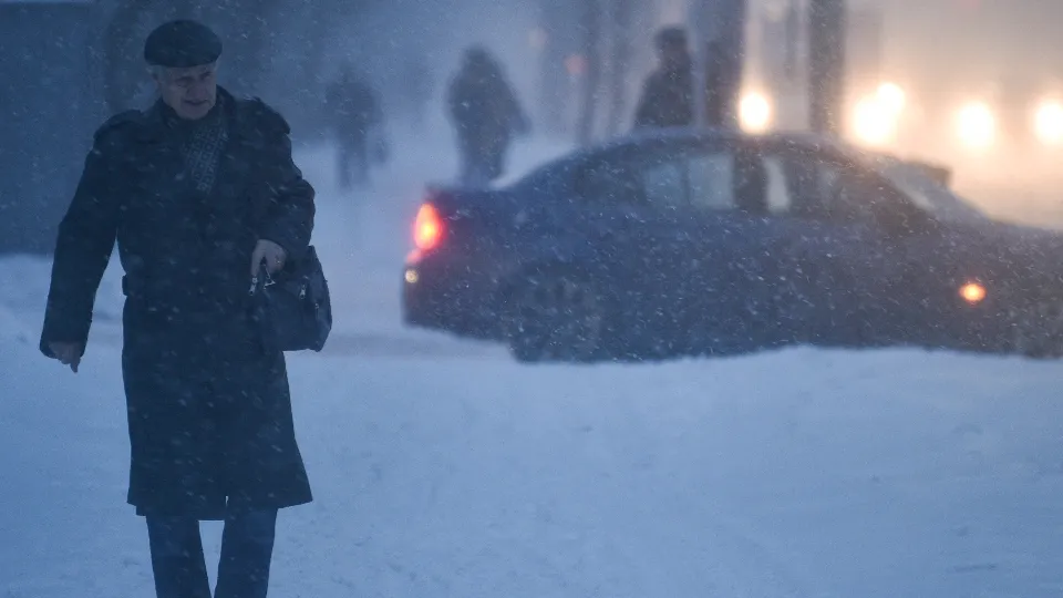 Фото: медиасток.рф