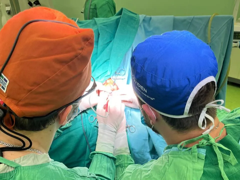 Фото: МОЦОМД