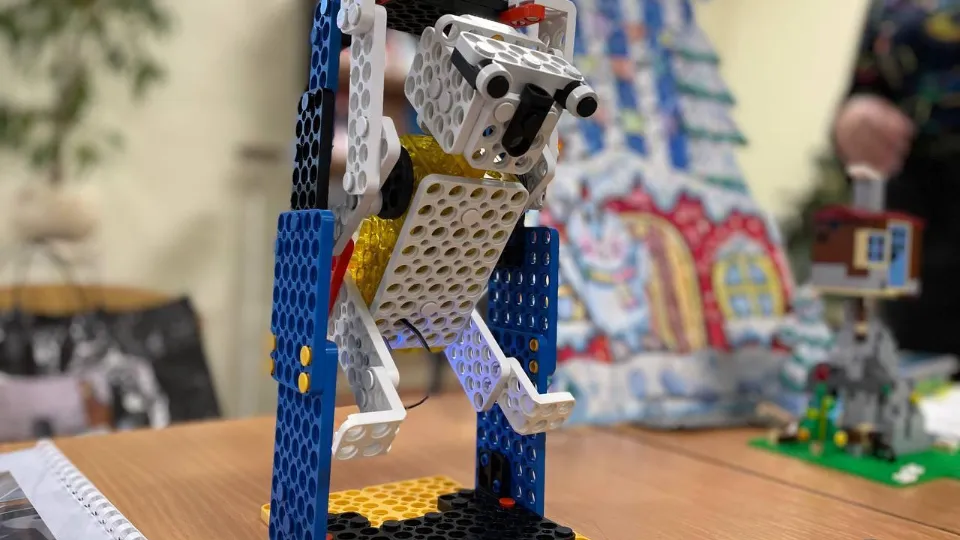 Фото: Раменский медиацентр