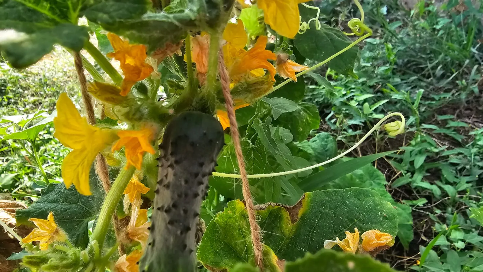 Фото: REGIONS/Наталия Надточая