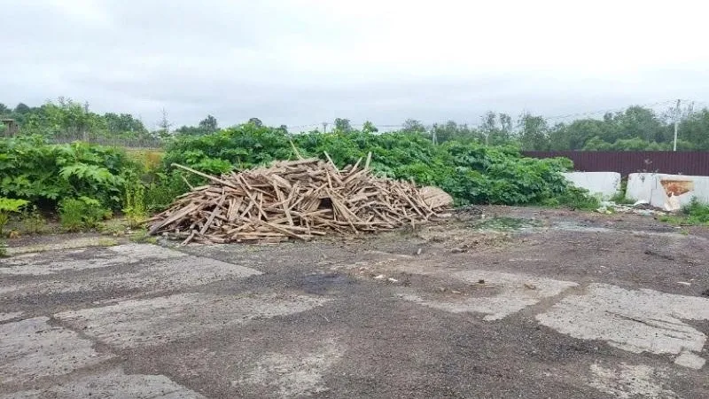 Фото: Министерство экологии и природопользования Московской области