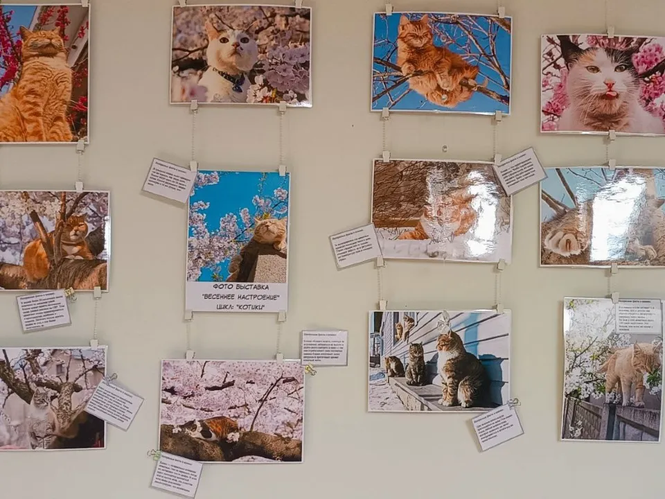 Фото: ДК «Икша», филиал ЦКР «Некрасовский»