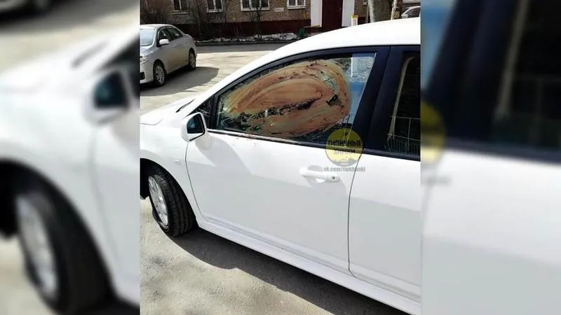 Автохаму затонировали стекла фекалиями в Химках