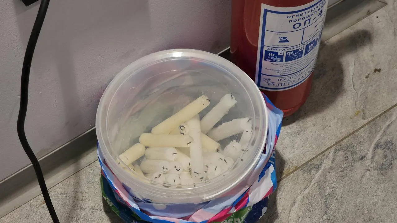 REGIONS/Роман Кутузов