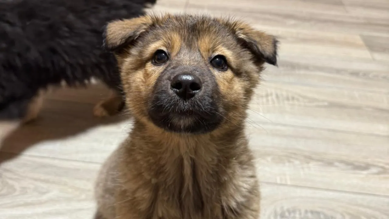 Марина Груздкова