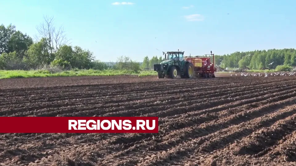 Фото: Данила Кирьянов
