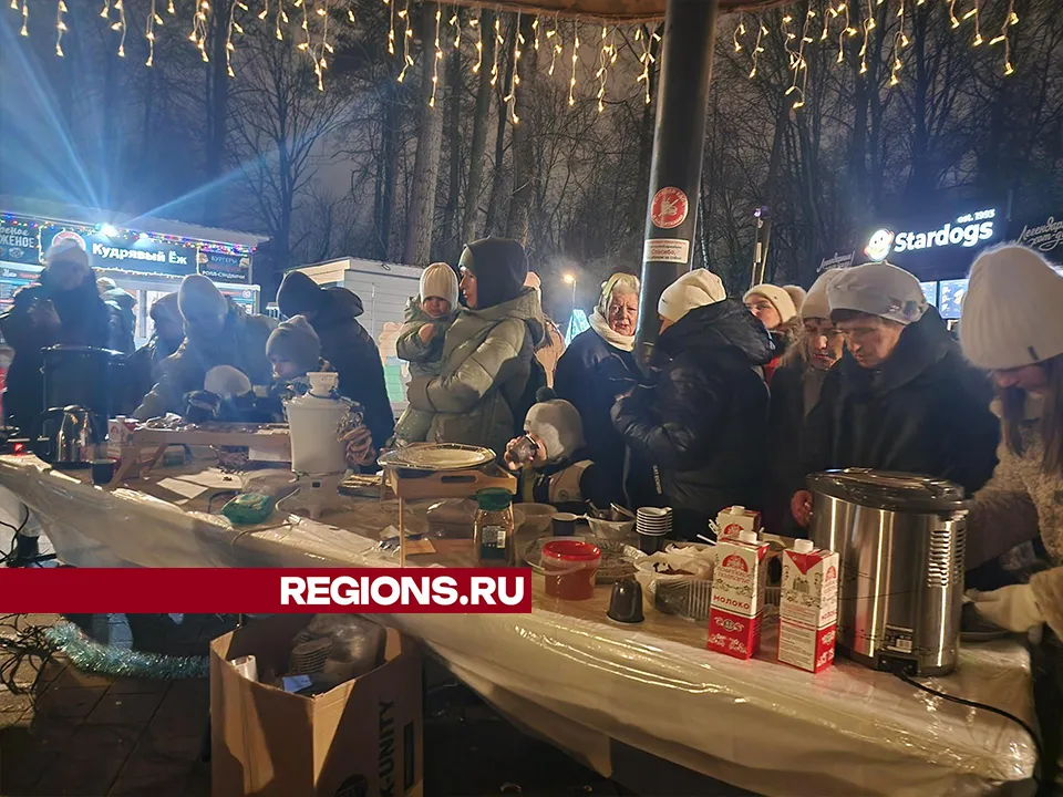 Фото: REGIONS/Александр Степушкин