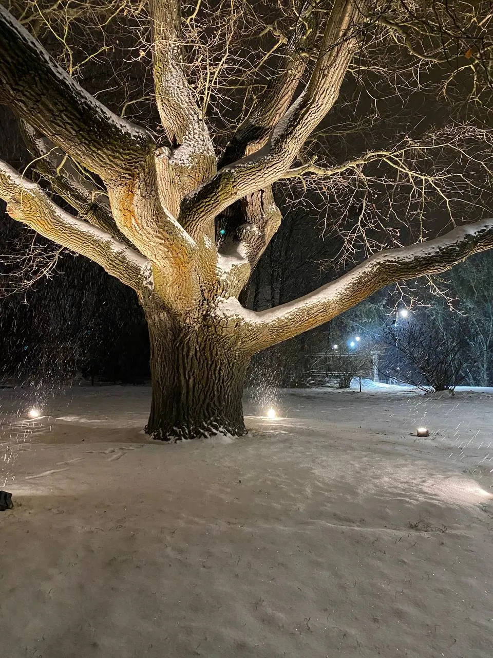 Фото: Наталья Дорофеева