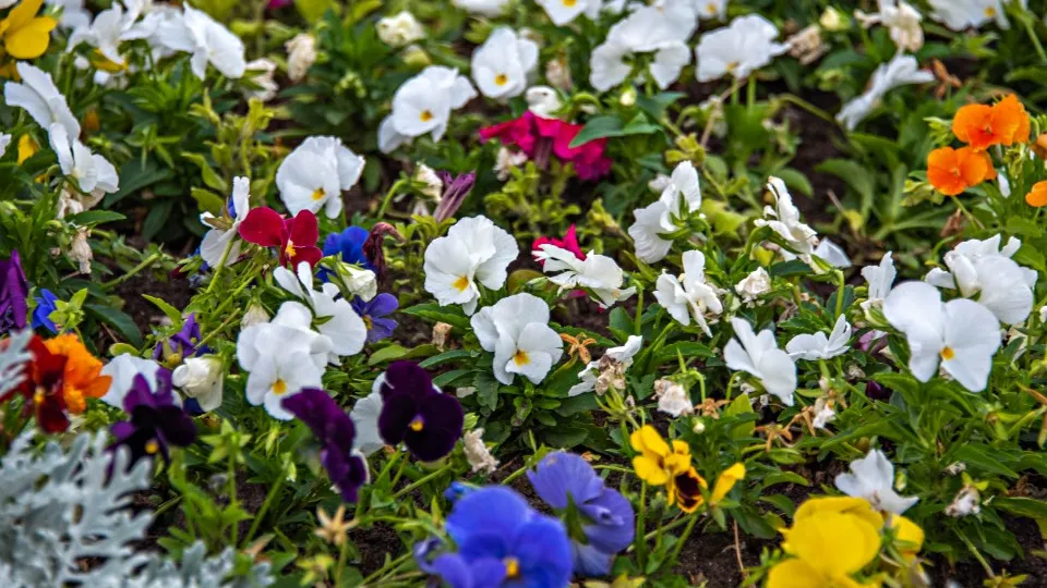 Фото: REGIONS/Максим Зубарев