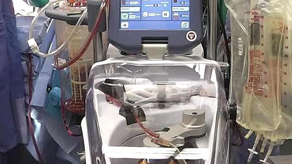 Фото: пресс-служба Администрации г.о. Долгопрудный