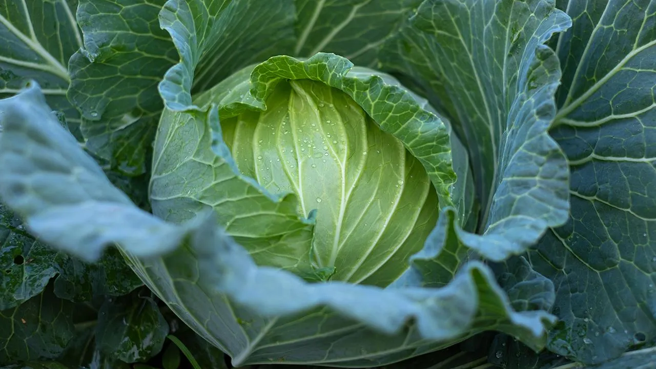 istockphoto.com/Thicha studio