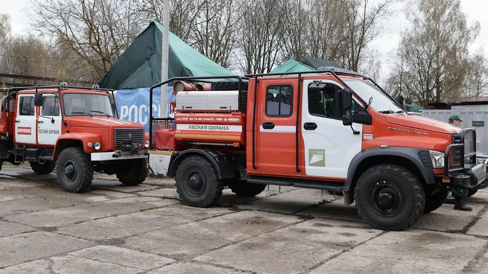 Фото: Комитет лесного хозяйства Московской области