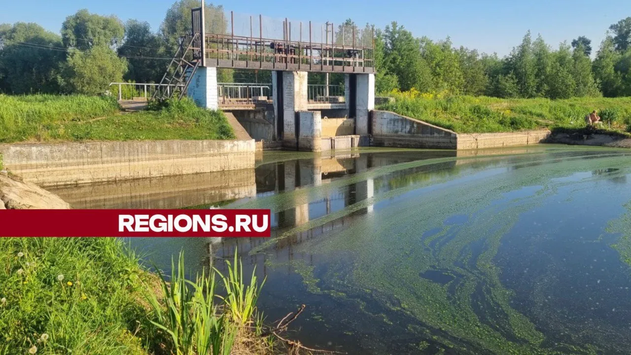 Фото: Сергей Букин