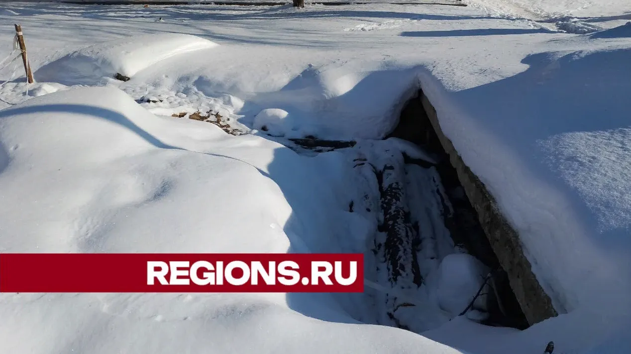 Фото: Эльвира Федосеева