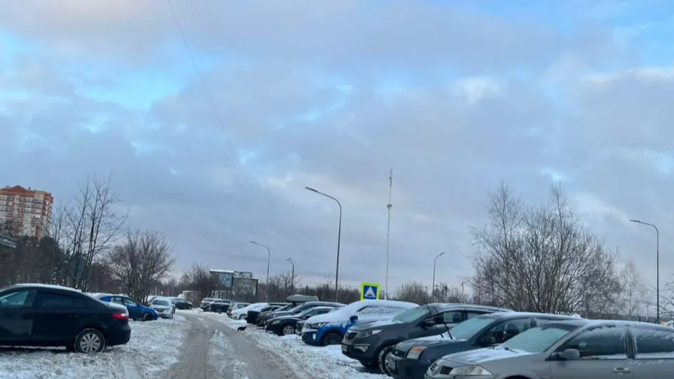 Фото: пресс-служба администрации г. о. Черноголовка