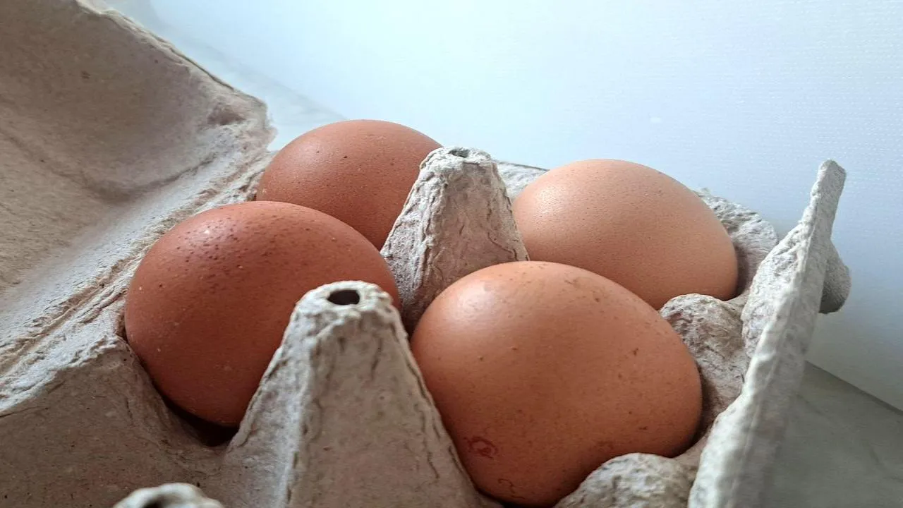 Яйца как водка: власти обсуждают введение жесткого ценового коридора на продукт № 1