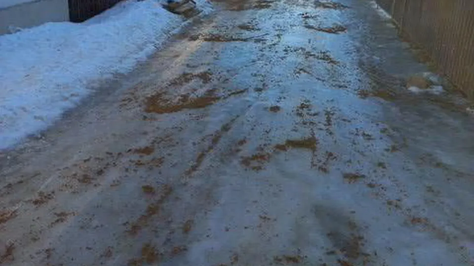 Фото: МКУ «УАД Дмитров»