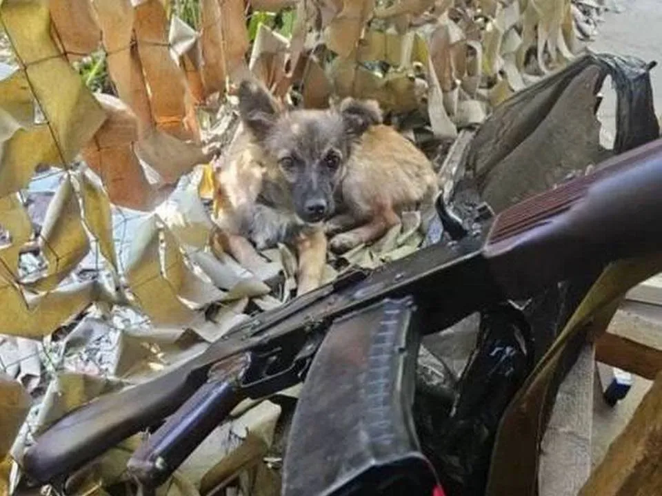 Фото: МБОУ СОШ № 12