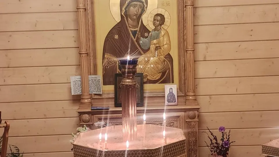 Фото: Хавива Фонина