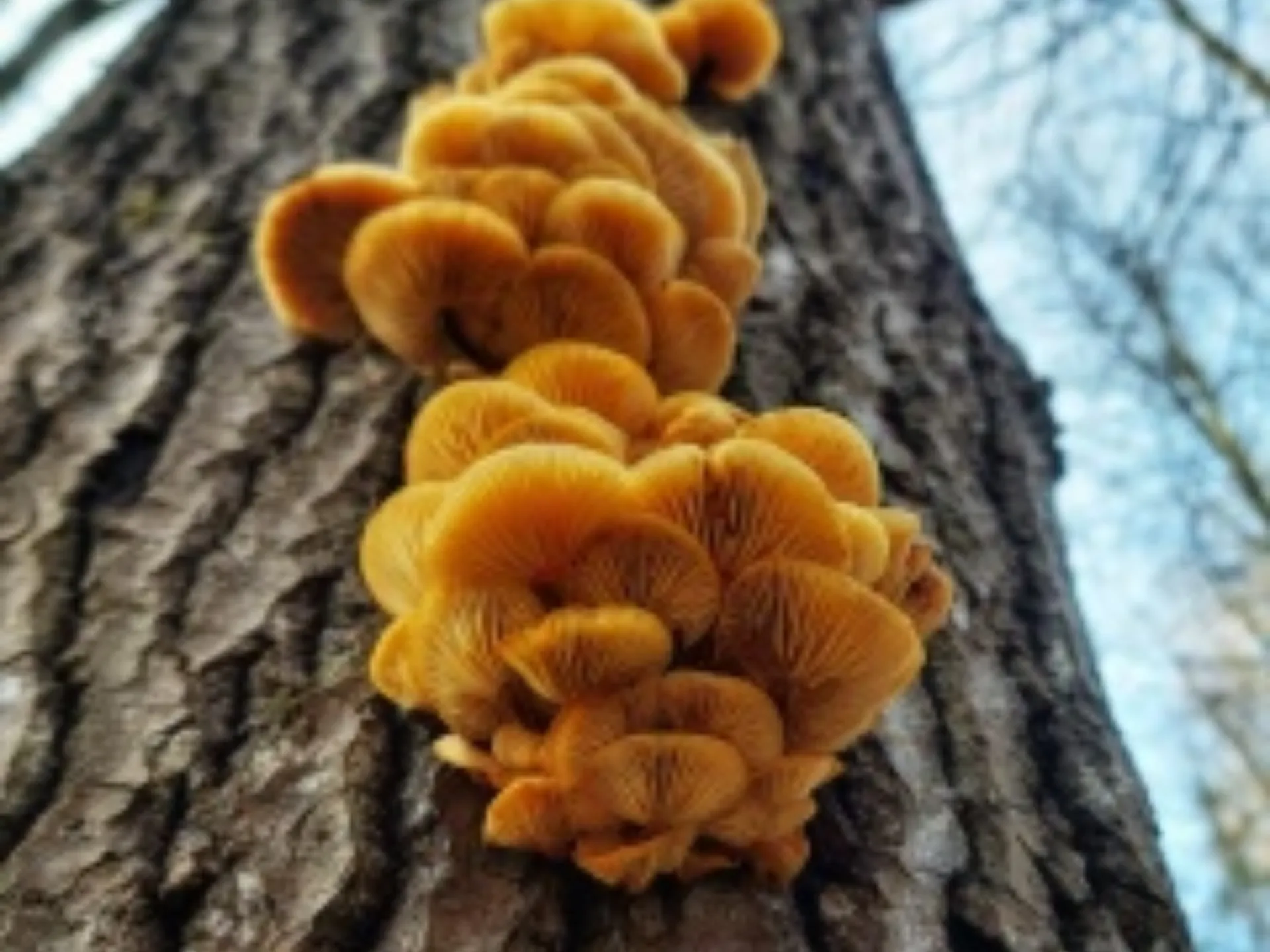 Фото: Василий Потапов