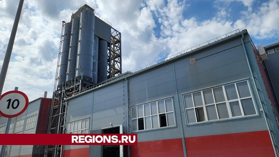 Фото: Светлана Плотникова