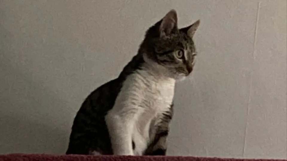 Фото: личный архив Елены Кузнецовой