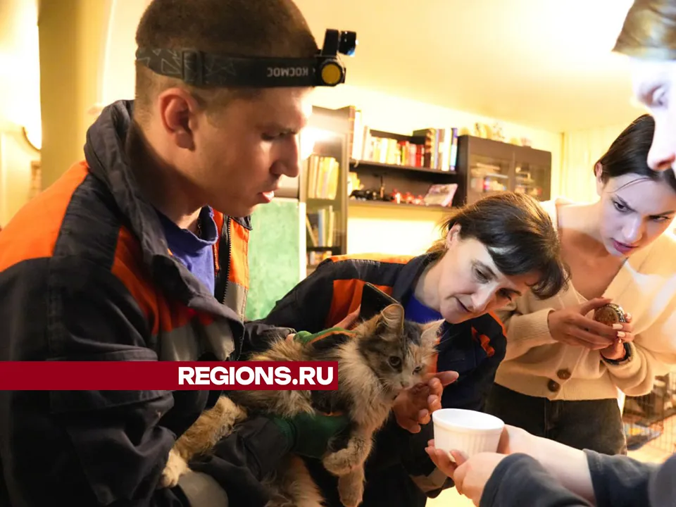 Фото и видео: REGIONS/Дмитрий Зайчиков