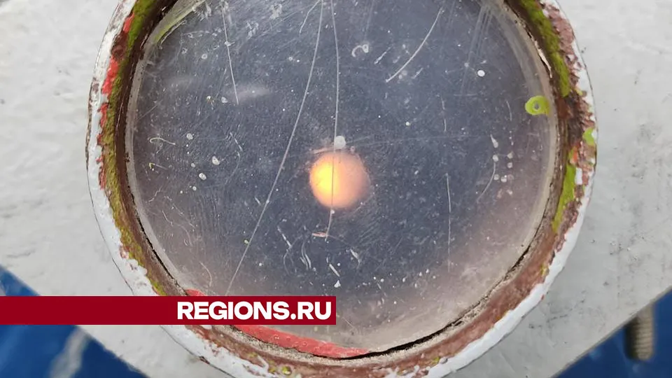 Фото: Дмитрий Беденко