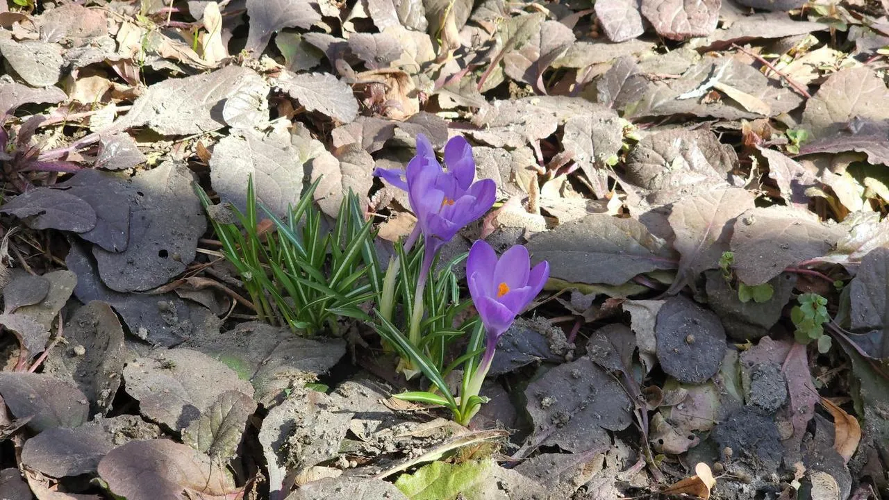 МедиаБанк Подмосковья/Валерия Исаева
