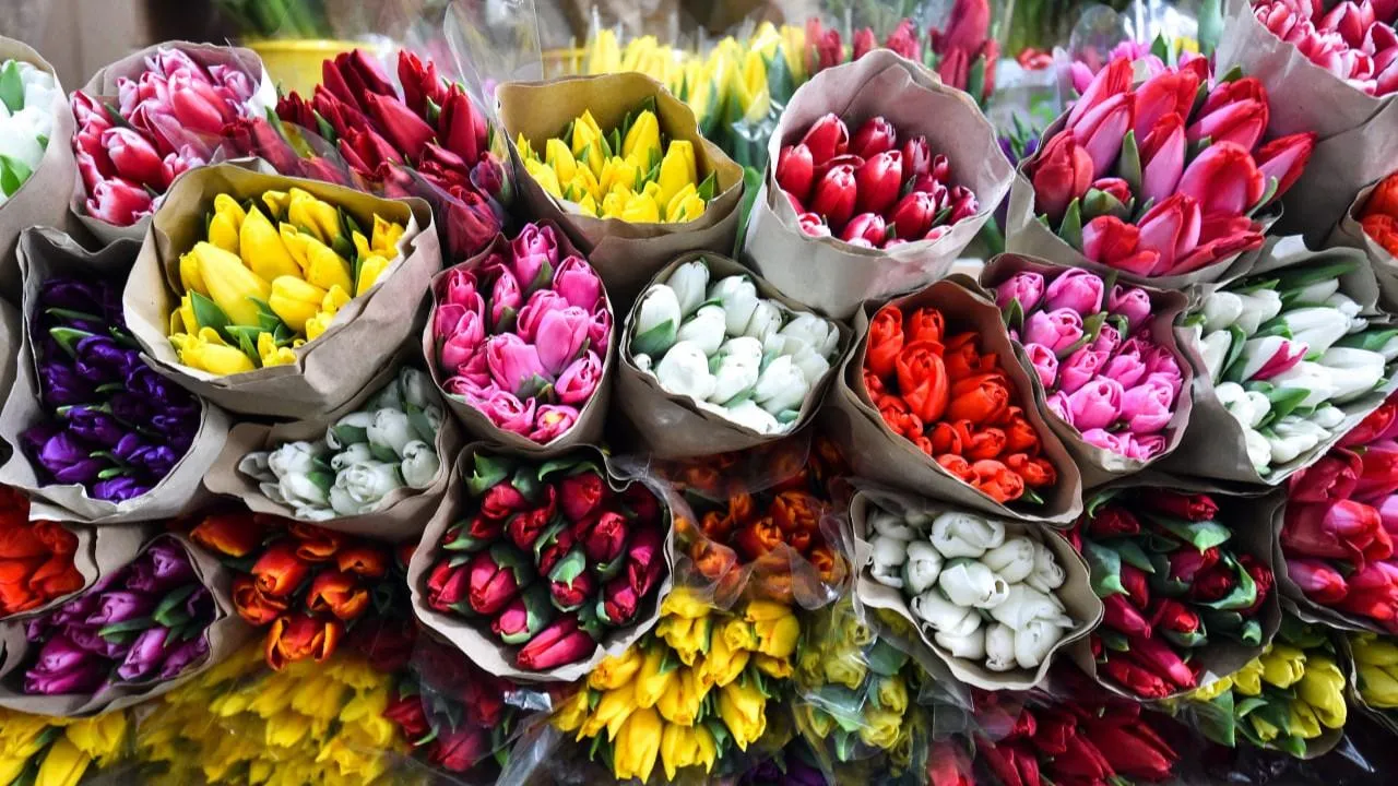 медиасток.рф