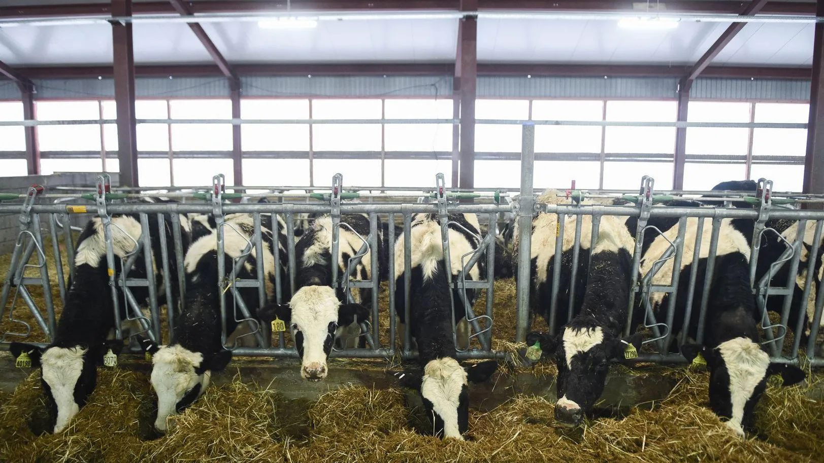 Медиасток.рф