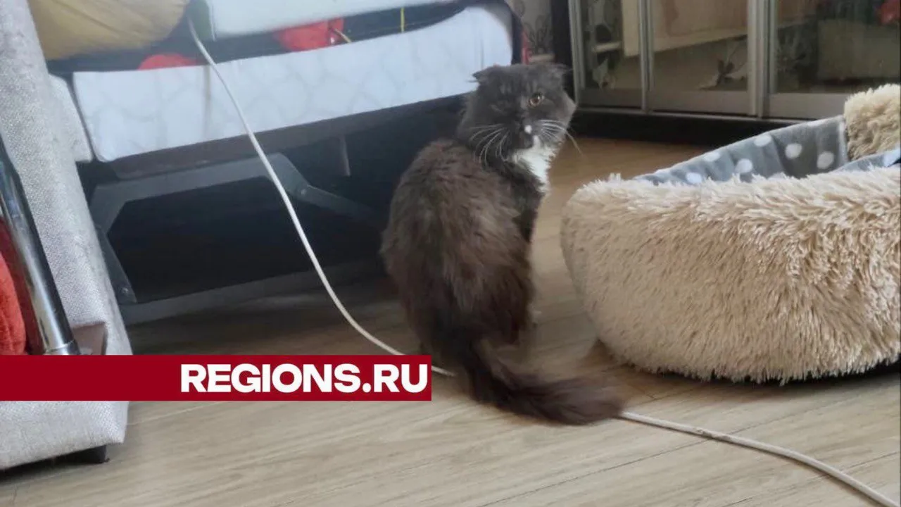 Фото: Мария Корнева