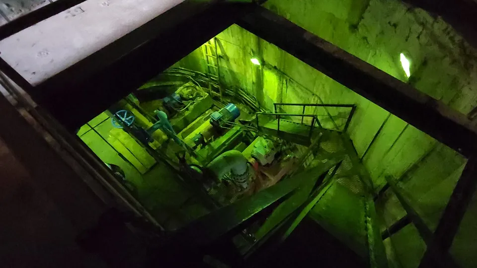 Фото: МедиаБанк Подмосковья/Екатерина Данилина