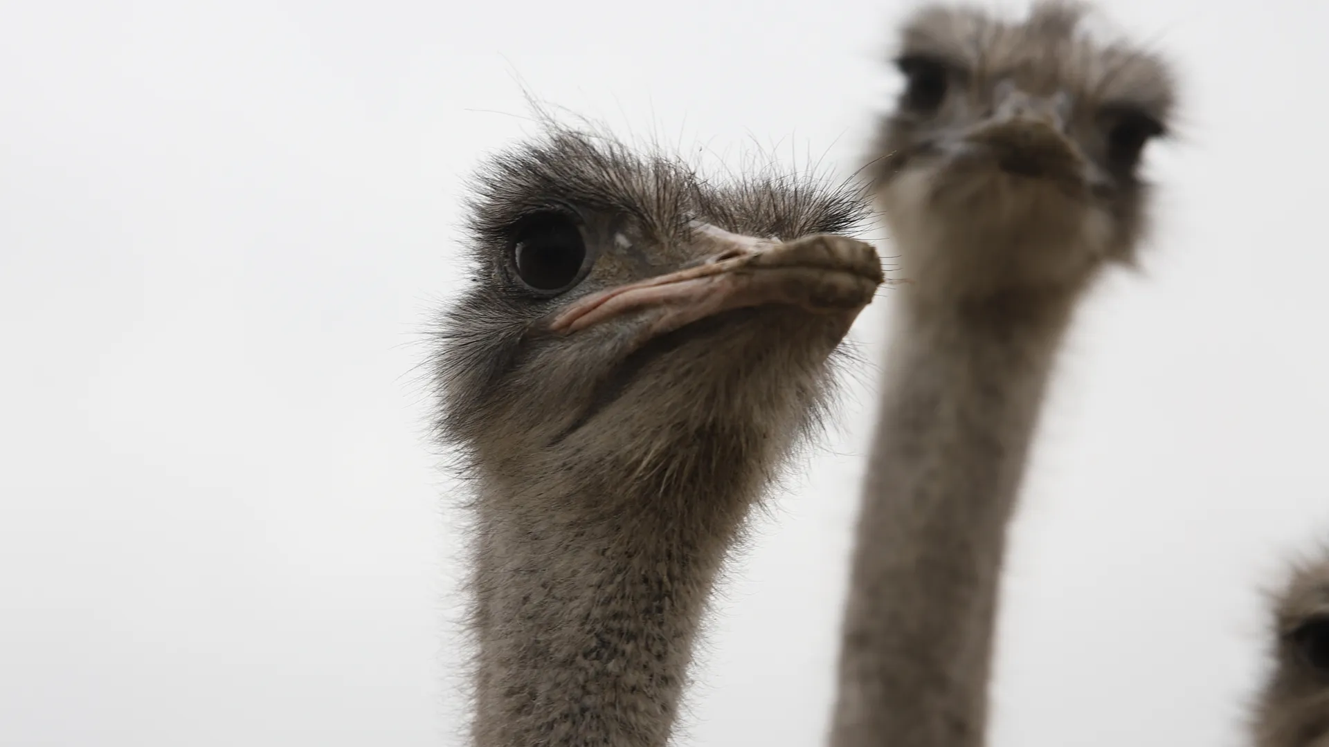 медиасток.рф