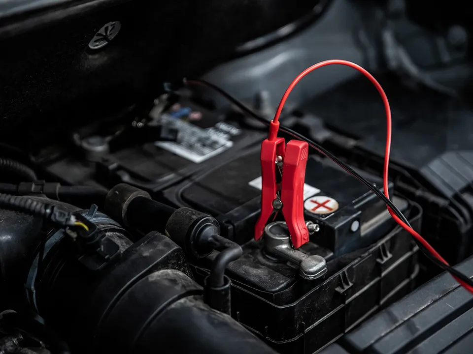 Фото: istockphoto.com/djedzura