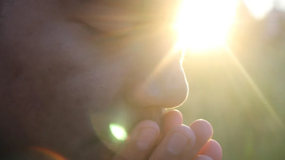 Фото: phxere.com