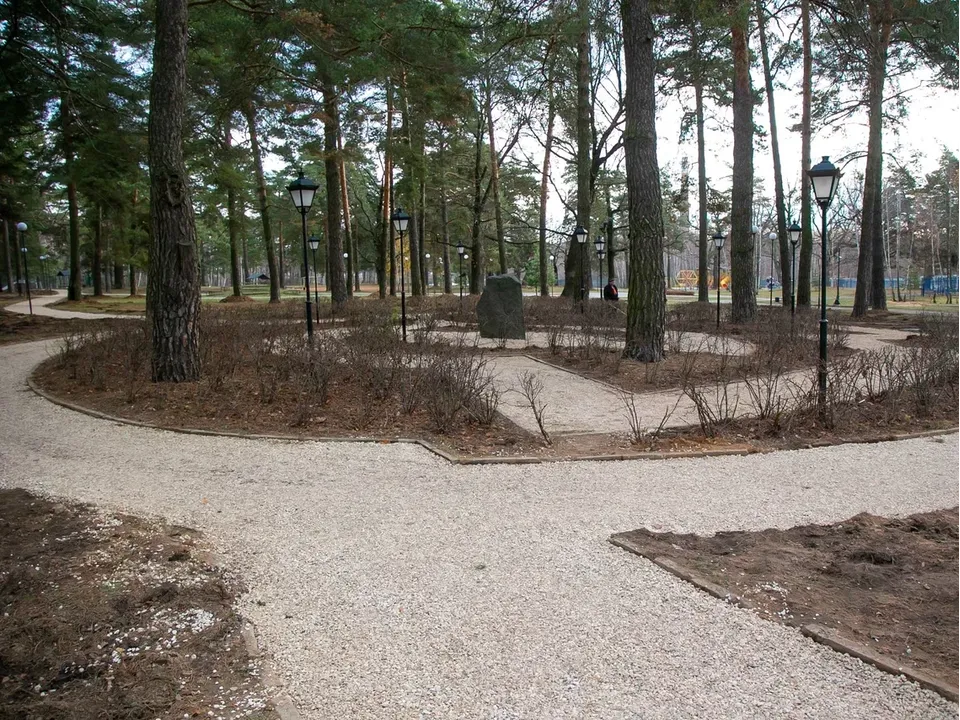 Фото: администрация городского округа Коломна