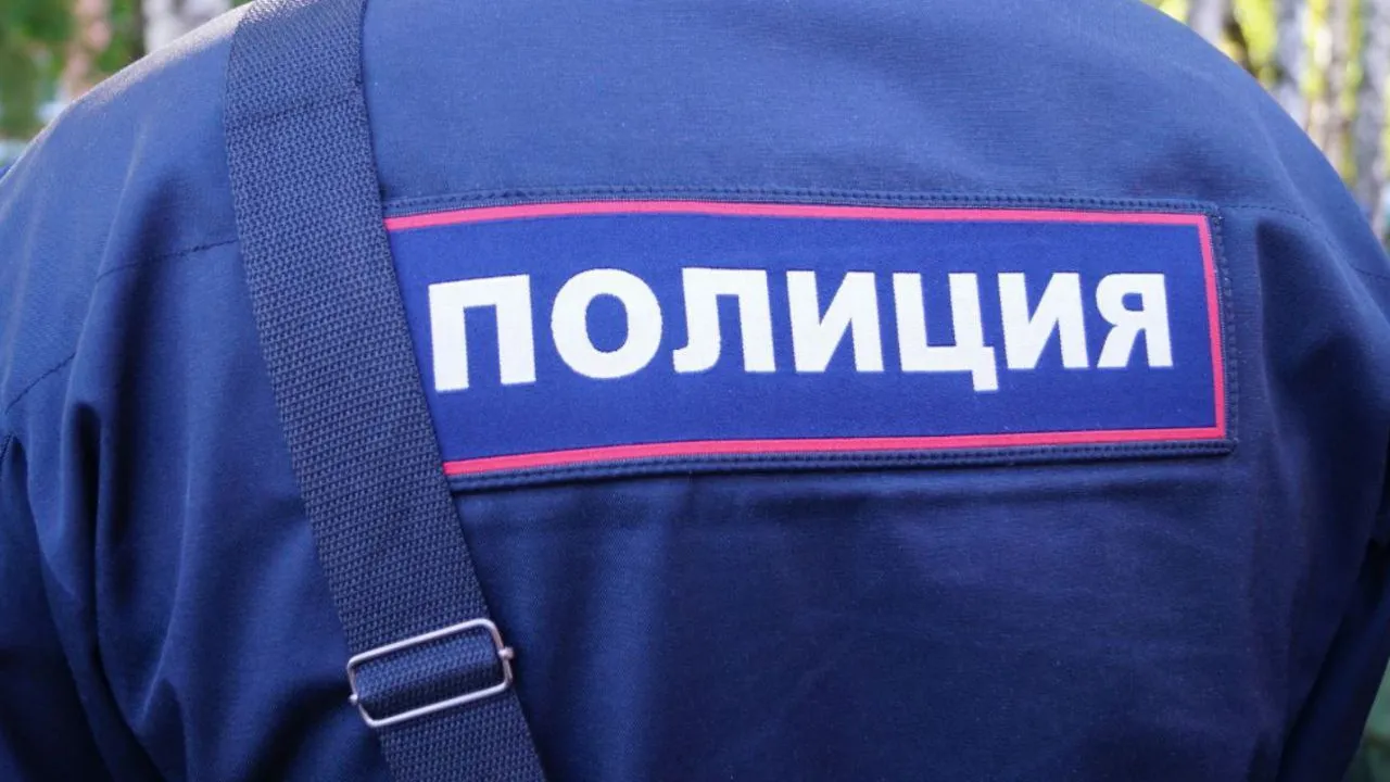 Фото: пресс-служба ОМВД Талдомского городского округа