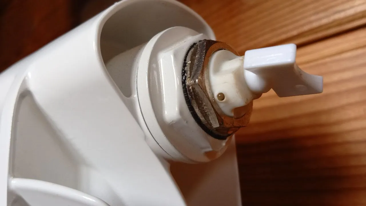 Фото: REGIONS/Василий Тремасов