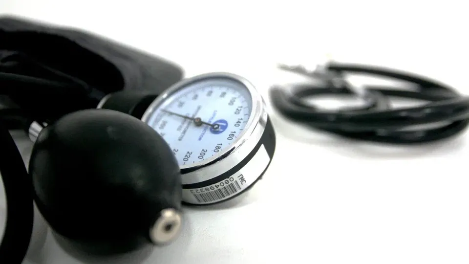 Фото: пресс-служба администрации г.о. Кашира