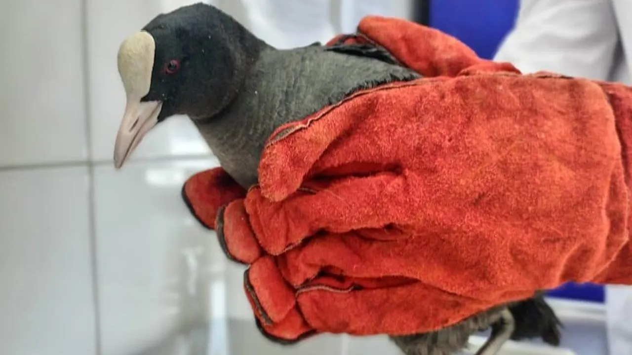 Министерство сельского хозяйства и продовольствия Московской области