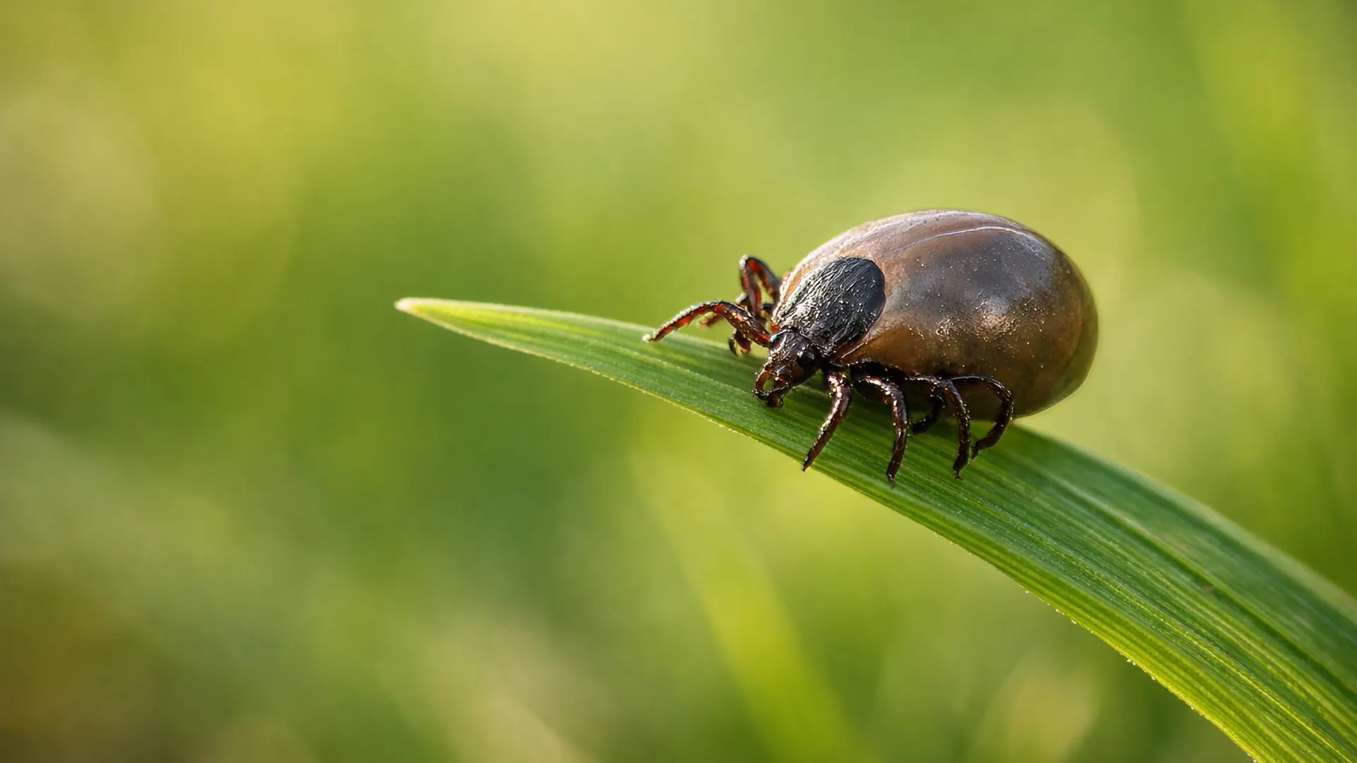 Pogiba Alexandra/news.ru