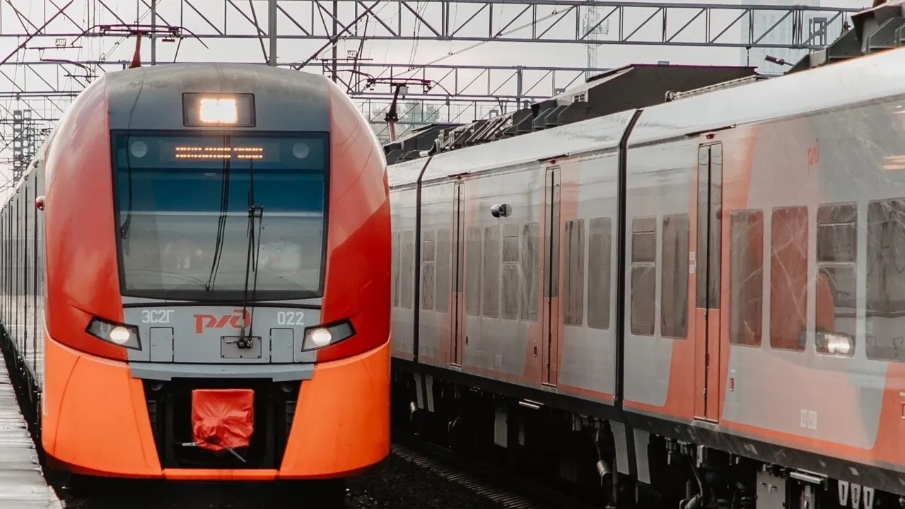 Фото: пресс-служба администрации г.о. Химки