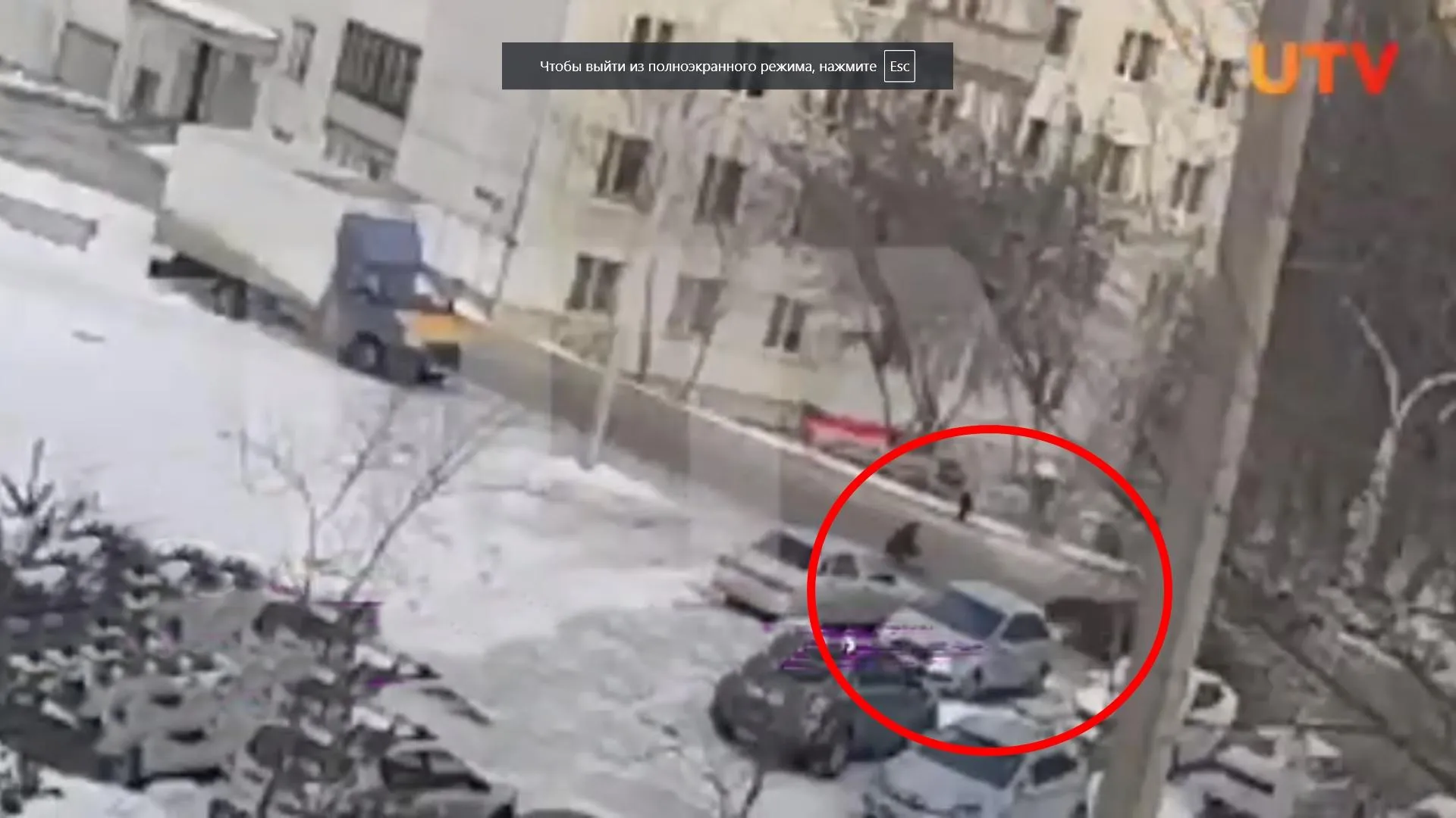 фото: скриншот