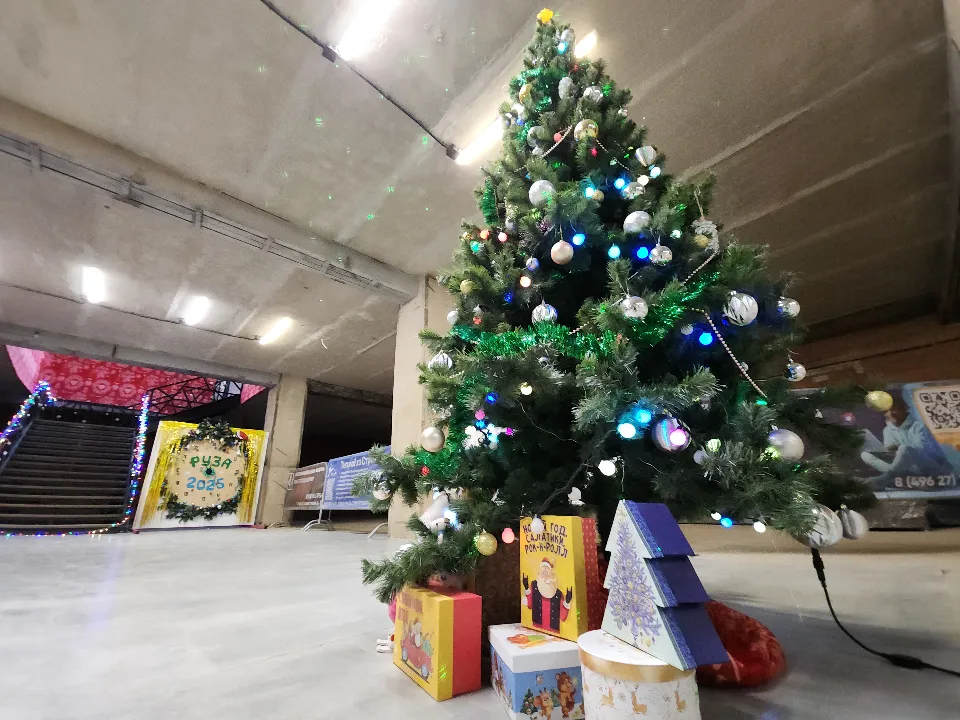 Фото: МедиаБанк Подмосковья/Екатерина Данилина&nbsp;